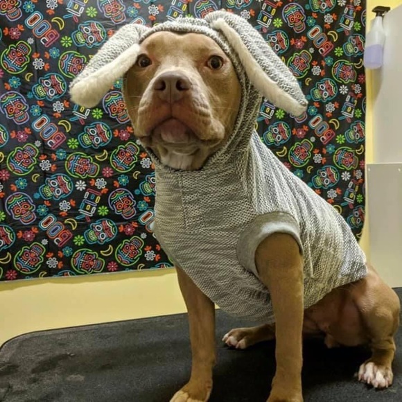 Meet your Posher, Jen - Picture 12 of 12